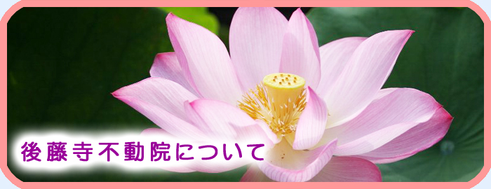 㓡s@ɂ
